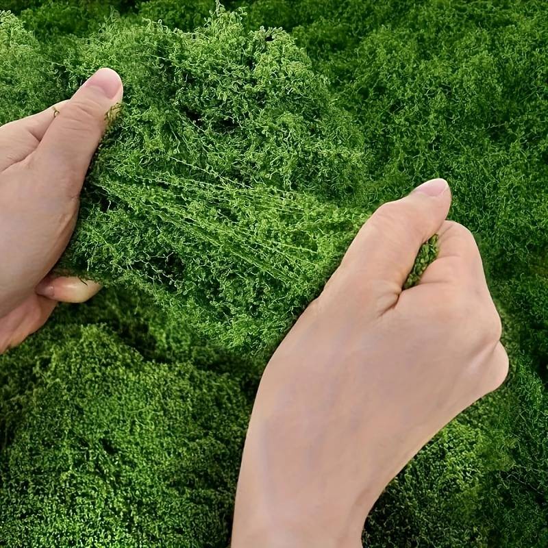 Искусственный моховой коврик 2 – обзор и цена Preserved Moss Sheet