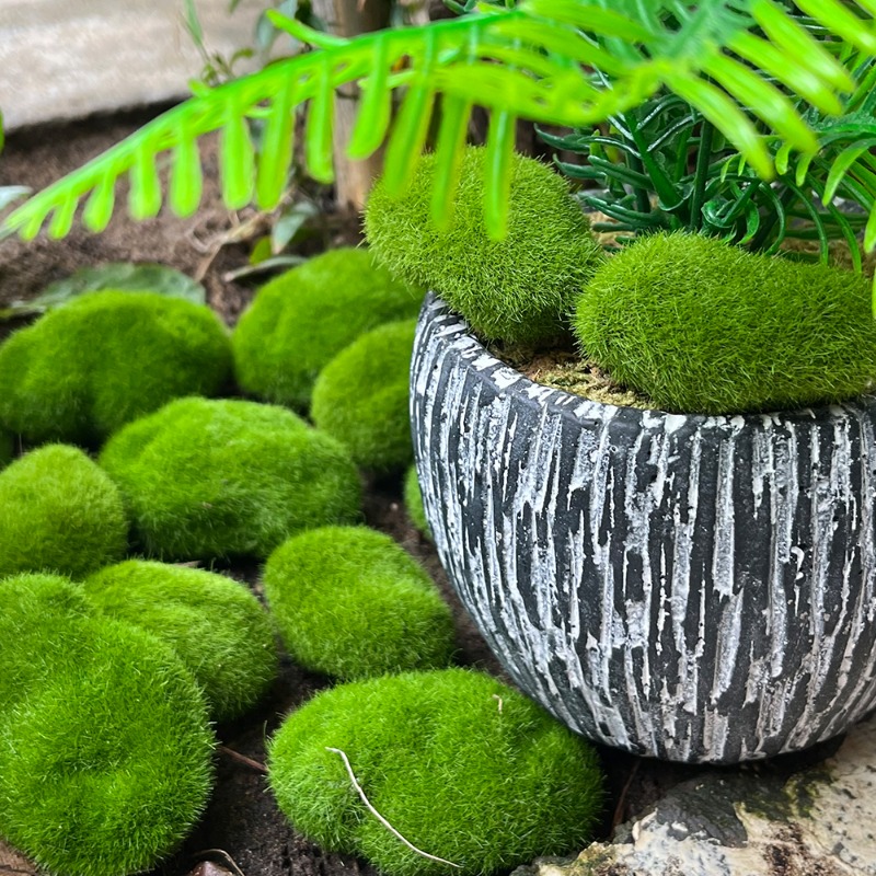 100/5 шт. Искусственные камни  – обзор и цена Preserved Moss Sheet