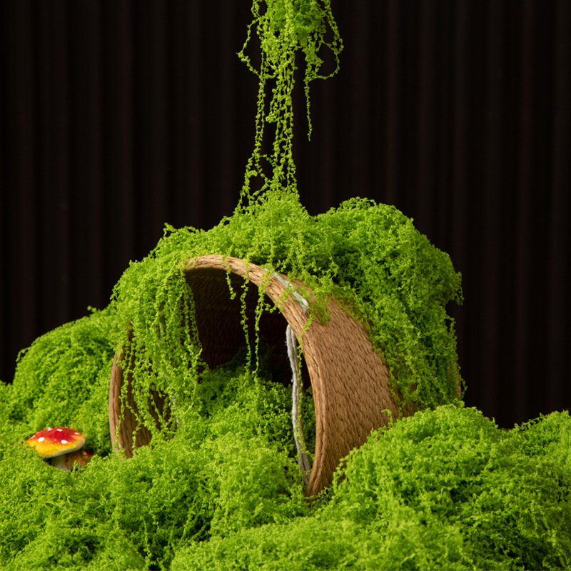 200 г. Искусственный мох «Вечн – обзор и цена Preserved Moss Sheet