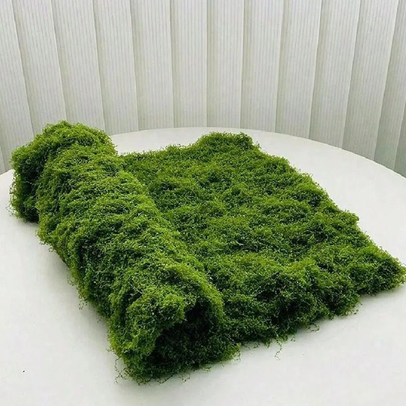 Искусственный мох для декора м – обзор и цена Preserved Moss Sheet